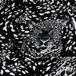 60" Modal Spandex Jaguar Skull Skeleton Print Jersey Knit Fabric By the Yard - APC Fabrics